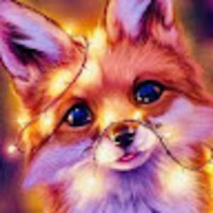 Meet your Posher, Selena